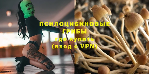 скорость Богданович